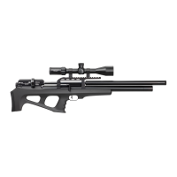 FX Wildcat Sniper .22 700mm